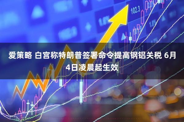 爱策略 白宫称特朗普签署命令提高钢铝关税 6月4日凌晨起生效