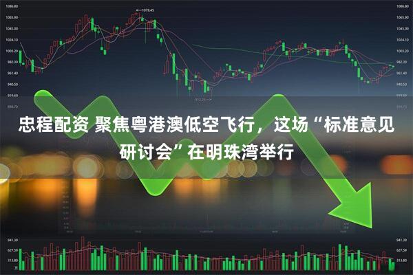 忠程配资 聚焦粤港澳低空飞行，这场“标准意见研讨会”在明珠湾举行