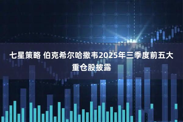 七星策略 伯克希尔哈撒韦2025年三季度前五大重仓股披露
